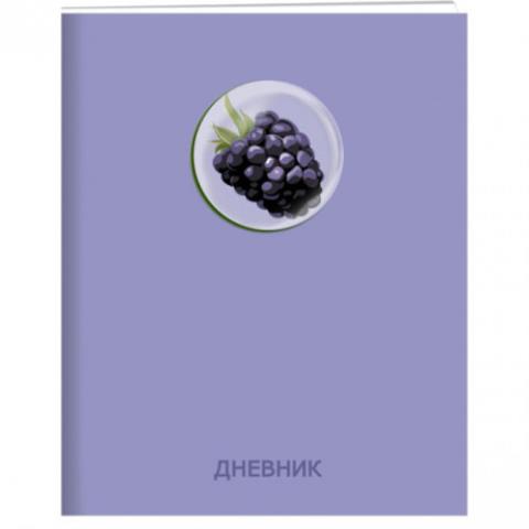 Дневник ст.кл. К-Э Diary mix-2 иск.кожа ДУК224814 