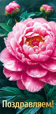 70000352 Конверт для денег Поздравлем!