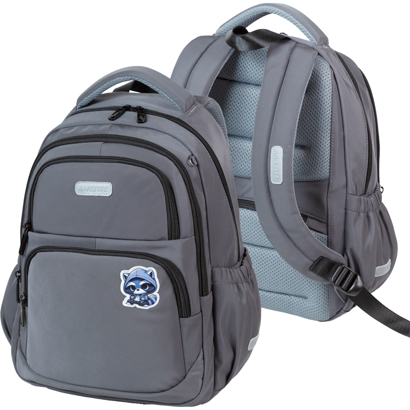 Ранец deVENTE Zoom Cool Raccoon 7033627