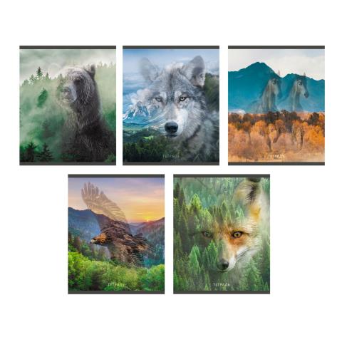 Тетрадь 96 л. (линия) К-Э Wild life ТЛ968389 Тетрадь 96 л. (линия) К-Э Wild life ТЛ968389