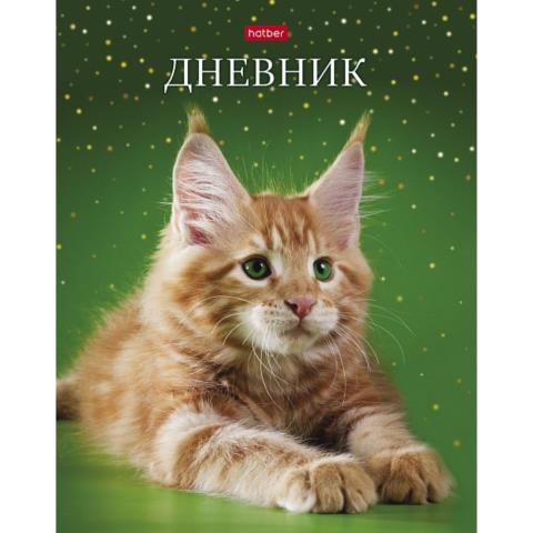 Дневник Уни Хатбер Рыжий котик 7БЦ 40ДТ5В_28474 Дневник Уни Хатбер Рыжий котик 7БЦ 40ДТ5В_28474