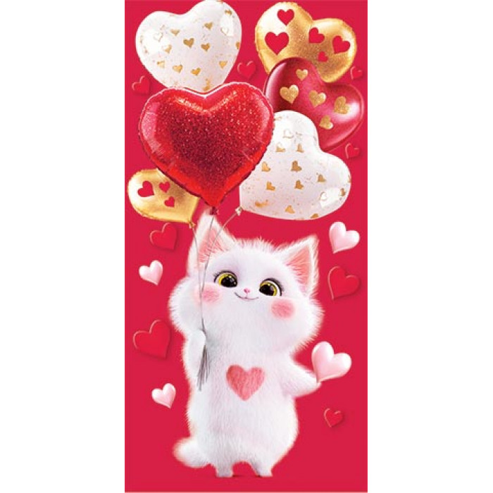 4-15-14058 Конверт для денег 