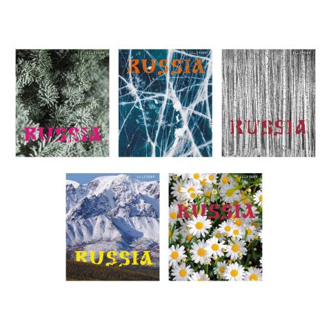 Тетрадь 96 л. (клетка) К-Э Россия ТК968719 Тетрадь 96 л. (клетка) К-Э Россия ТК968719