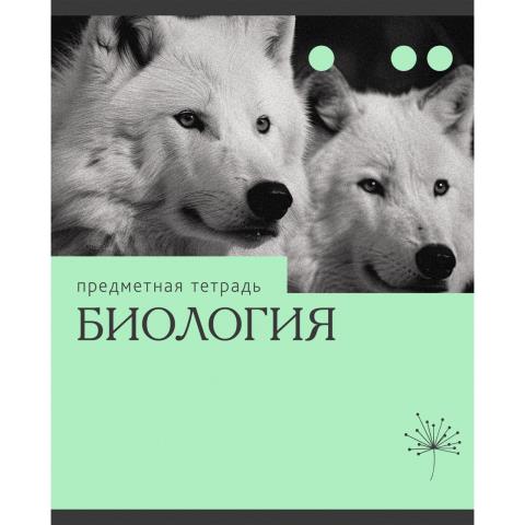 Тетрадь 36 л. (клетка) К-Э Эрудиция. Биология ТТК249365 Тетрадь 36 л. (клетка) К-Э Эрудиция. Биология ТТК249365