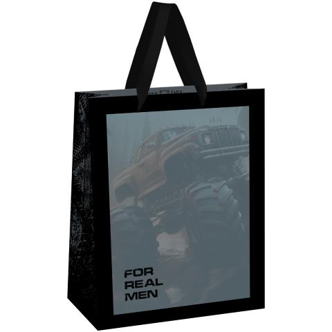 Пакет подарочный MESHU For man MS_61707 26x32x12см