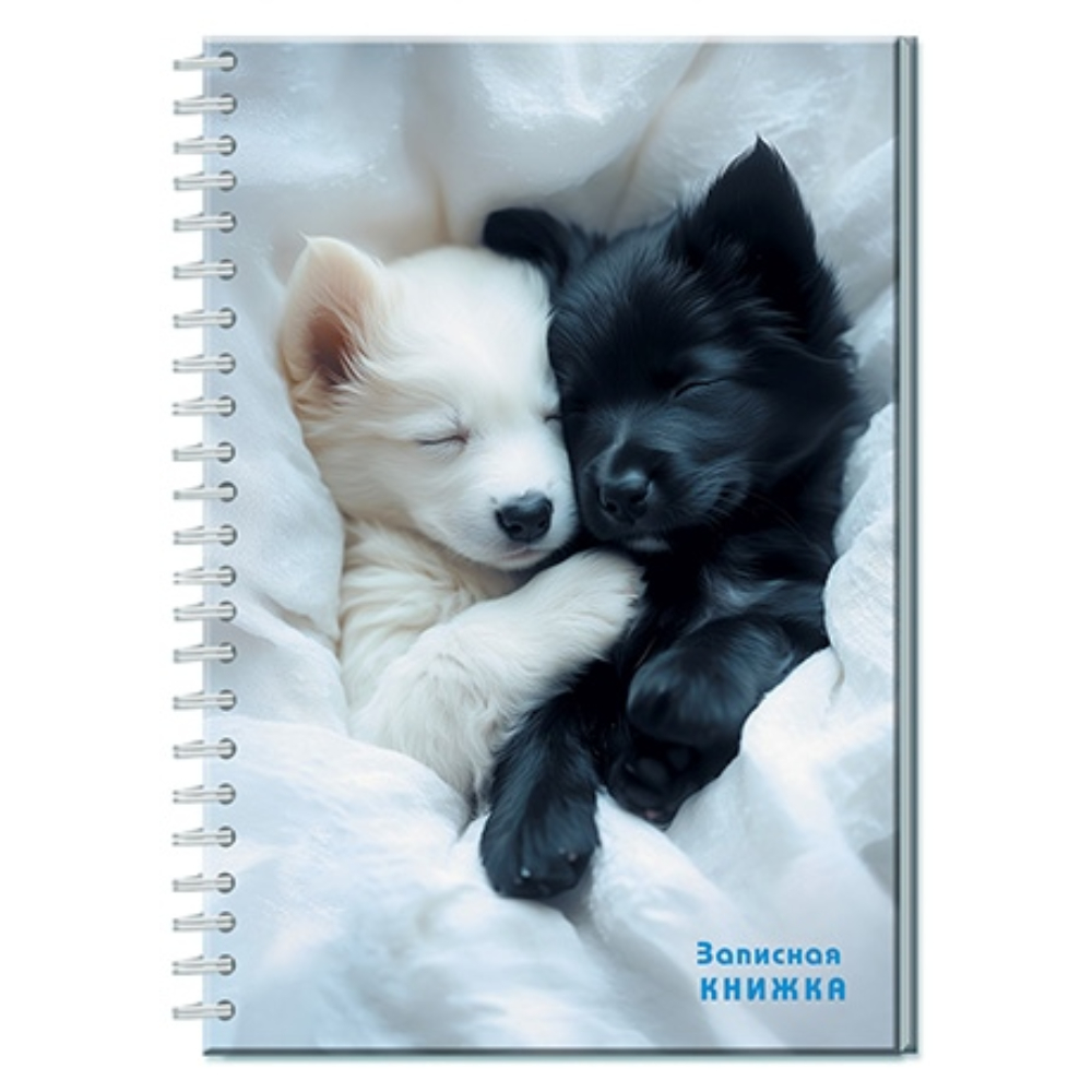 Блокнот-бизнес А5 96 л. (спираль) Мимишные щенки С0598-93