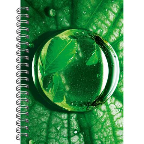 Блокнот-бизнес А6 80 л. (спираль) Капля росы БК680286