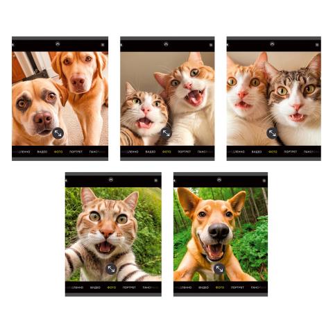 Тетрадь 48 л. (клетка) К-Э Зверо-селфи ТК489128