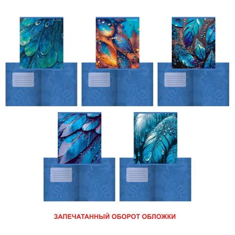 Тетрадь 48 л. (клетка) К-Э Сияние ТКЛ488735 Тетрадь 48 л. (клетка) К-Э Сияние ТКЛ488735