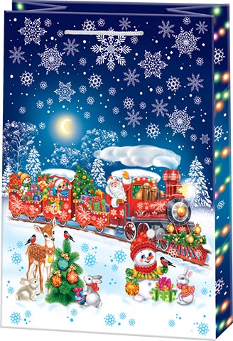 10-42-5034А Пакет подарочный XL 325x450мм