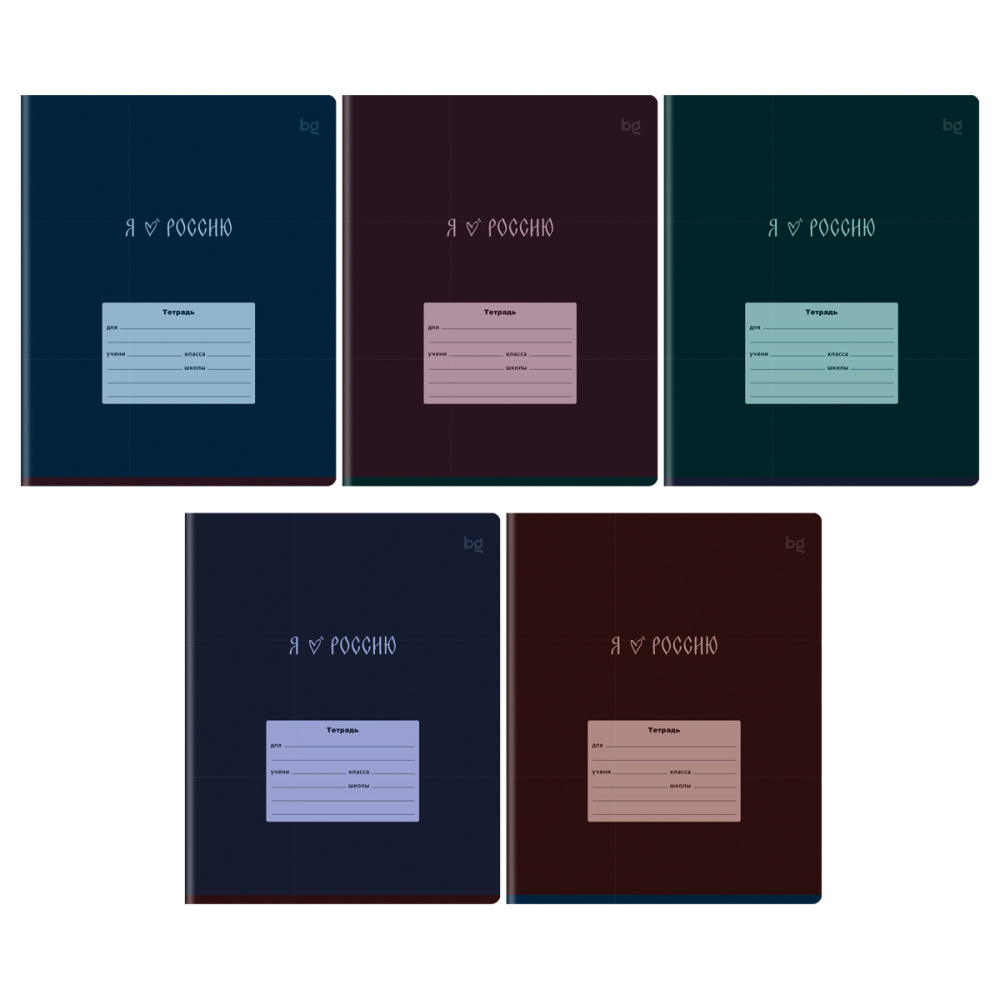 Тетрадь 24 л. (клетка) БиДжи Россия Т5ск24 57705