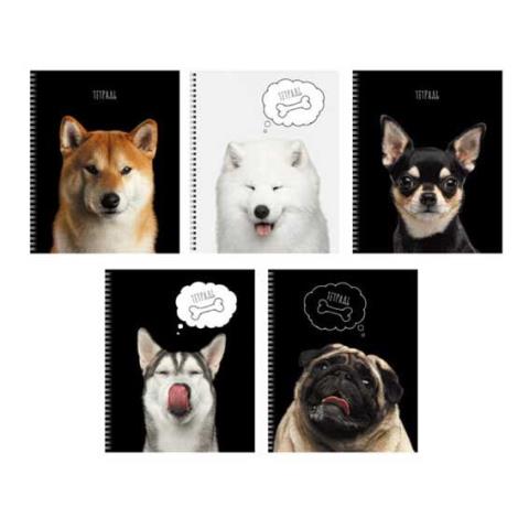 Тетрадь 48 л. (спираль) К-Э Selfie dog ТС2Л488452 Тетрадь 48 л. (спираль) К-Э Selfie dog ТС2Л488452