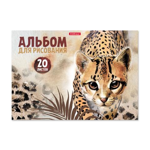 Альбом д\рис. 20 л. ErichKrause Wild Cat мел.карт, склейка 49829 