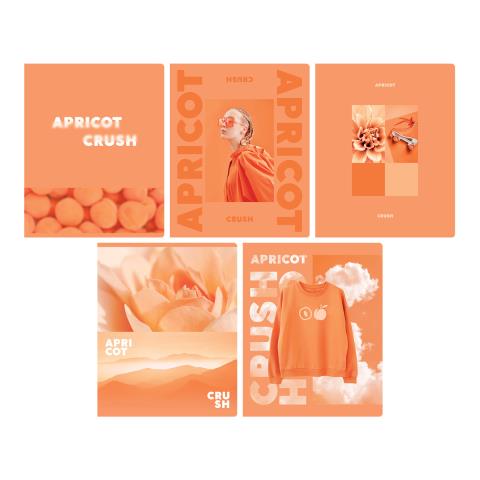 Тетрадь 48 л. (клетка) БиДжи Apricot Т5ск48_лм 12721 Тетрадь 48 л. (клетка) БиДжи Apricot Т5ск48_лм 12721