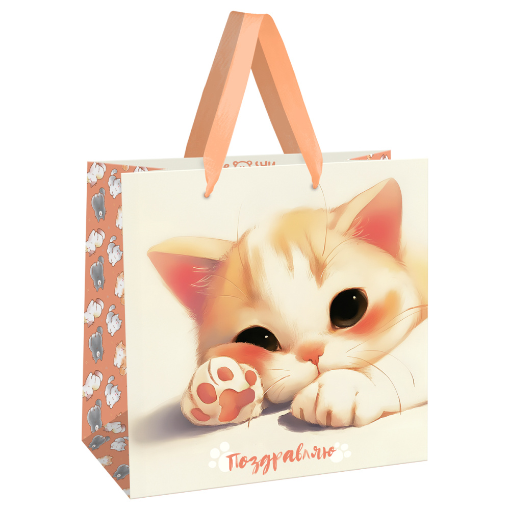 Пакет подарочный MESHU Lovely kitten 20х20х10см MS_66230 Пакет подарочный MESHU Lovely kitten 20х20х10см MS_66230