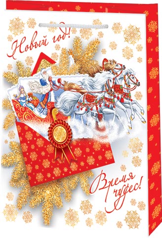 10-30-5108А Пакет подарочный M 180x227мм