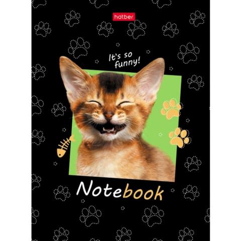 Блокнот-бизнес А6 80 л. Хатбер КотЭлло 80ББ6В1_25133