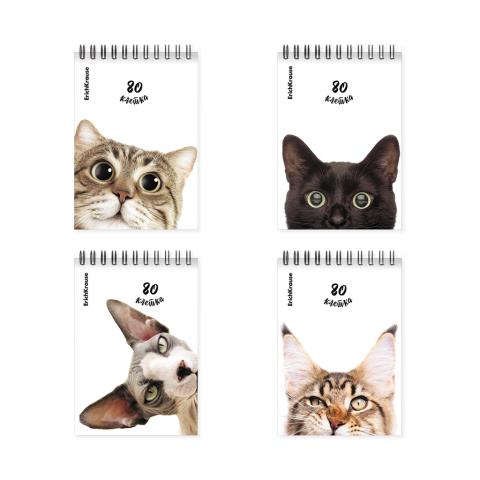 Блокнот А6 80 (спираль) ЕК Котики 54296