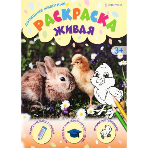 Раскраска А4 П-П Р-0099 Домашние животные