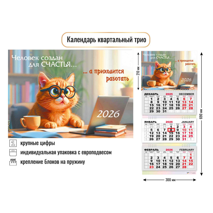 Календарь 3-секционный Кот 2026 9442