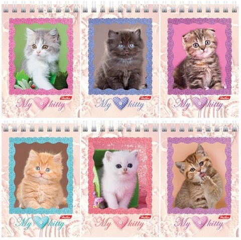 Блокнот А7 40 л.  (спираль) Хатбер Котята 40Б7Вгр_051116