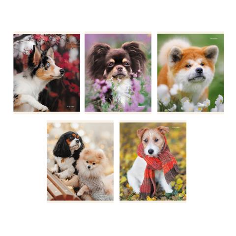 Тетрадь 96 л. (клетка) К-Э Пушистые друзья ТК968386