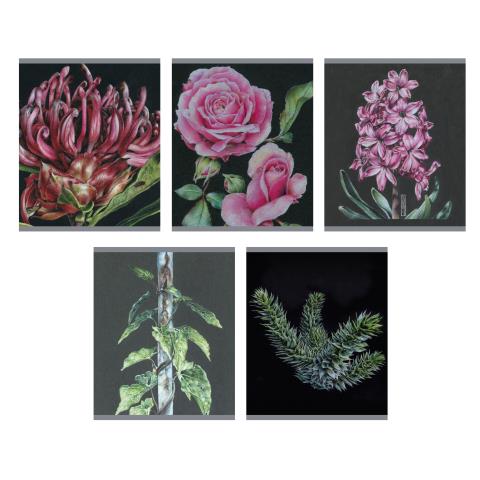 Тетрадь 96 л. (клетка) К-Э Nature drawing ТКФ968791 Тетрадь 96 л. (клетка) К-Э Nature drawing ТКФ968791