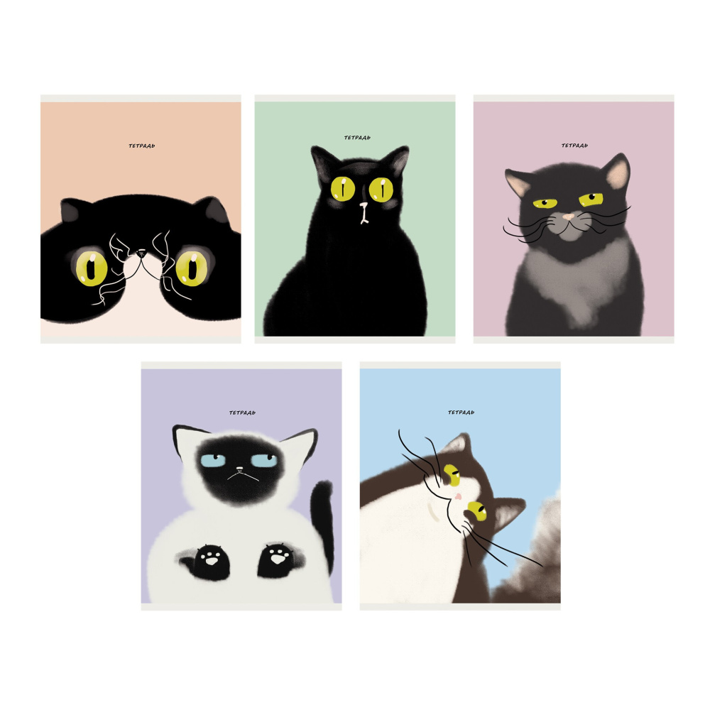 Тетрадь 40 л. (клетка) К-Э Коты ТК408316