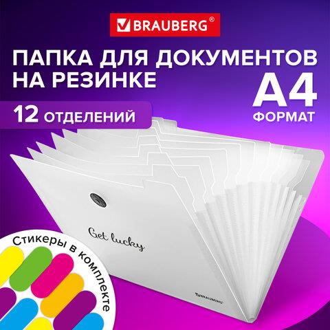 Папка на резинке А4 12 отд. BRAUBERG Glassy пуговица прозрачн. 271929 Папка на резинке А4 12 отд. BRAUBERG Glassy пуговица прозрачн. 271929