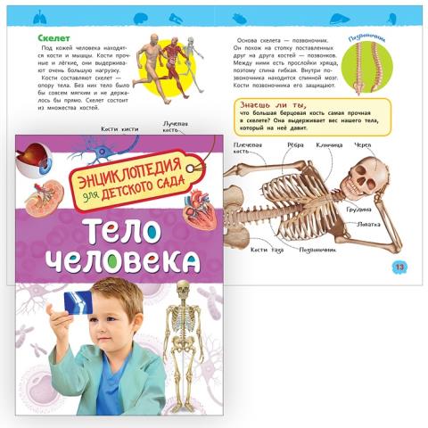 Энциклопедия для детского сада Тело человека 32824 Энциклопедия для детского сада Тело человека 32824