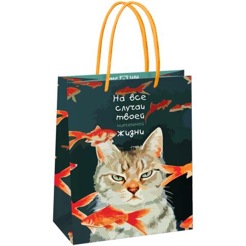Пакет подарочный MESHU Moody cat MS_61568 18х23х10см