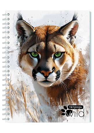 Тетрадь 48 л. (спираль) Апплика Рысь С0152-152