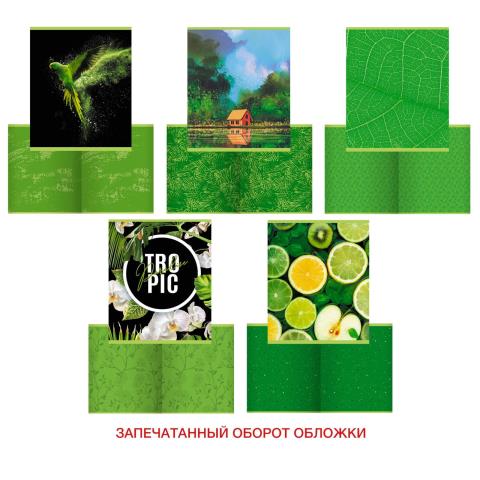 Тетрадь 48 л. (клетка) К-Э Green mix ТК488535