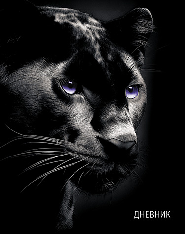 Дневник Уни КТС Чёрная пантера тверд. 7БЦ С4072-149