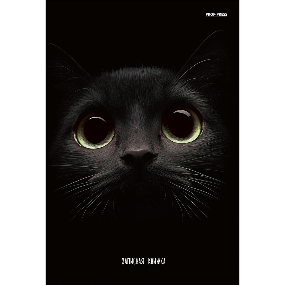 Блокнот-бизнес А5 160л. П-П Взгляд кота 160-1704