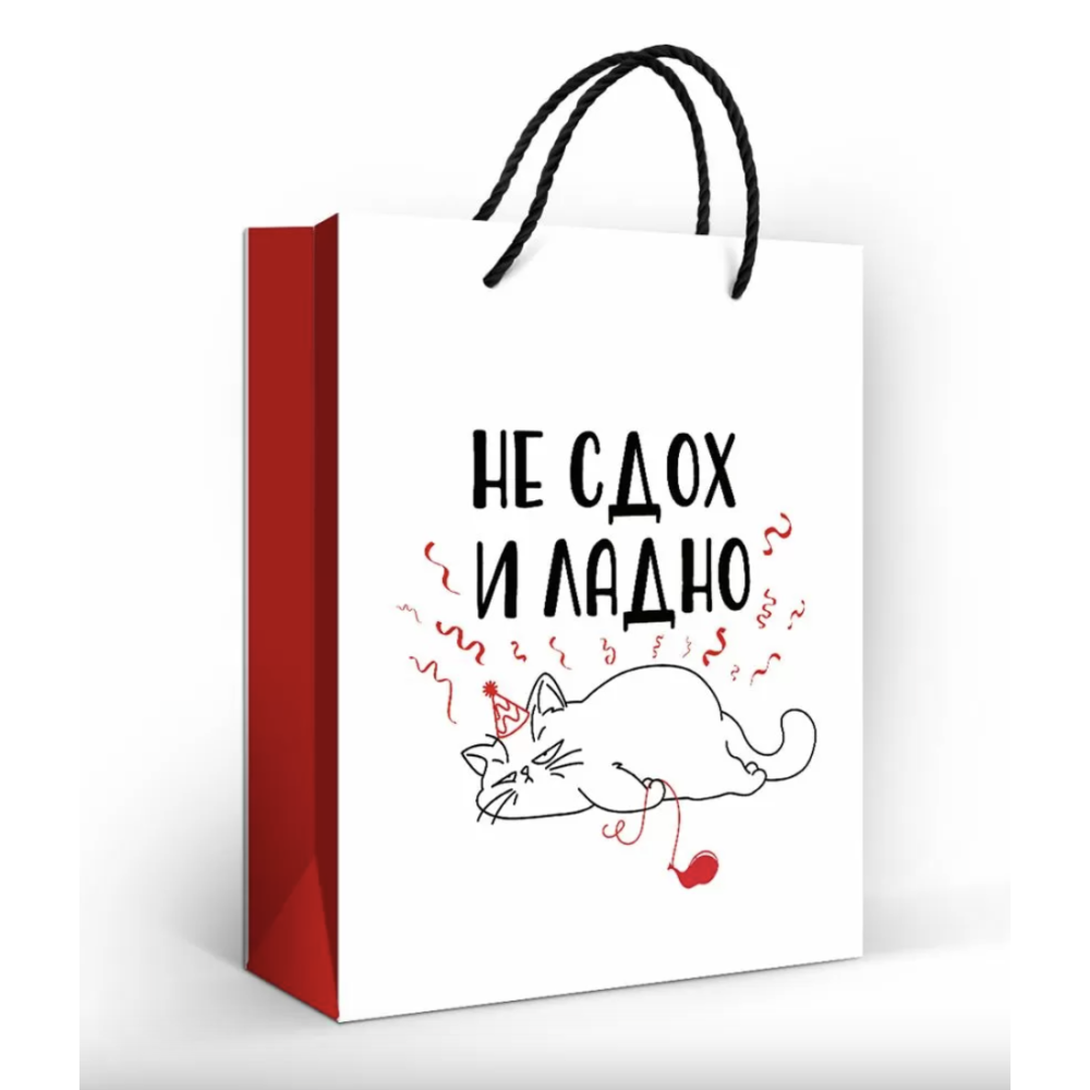Пакет подарочный 151102683 Не сдох и ладно 23х18