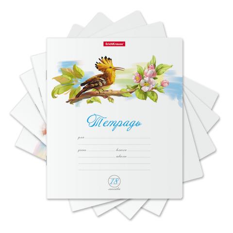 Тетрадь 18 л. (линия) ErichKrause Birds 58399 /10 Тетрадь 18 л. (линия) ErichKrause Birds 58399 /10