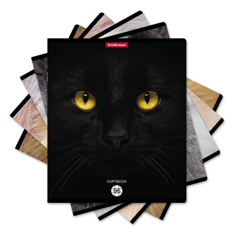 Тетрадь 96 л. (клетка) EK Cats 58406 MIX
