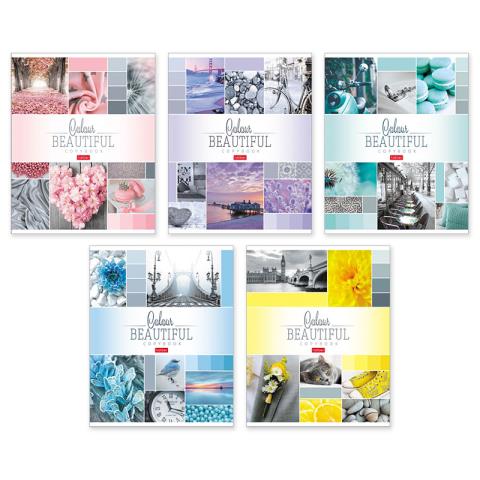 Тетрадь 96 л. (клетка) Хатбер Beautiful colour 96Т5В1 Тетрадь 96 л. (клетка) Хатбер Beautiful colour 96Т5В1