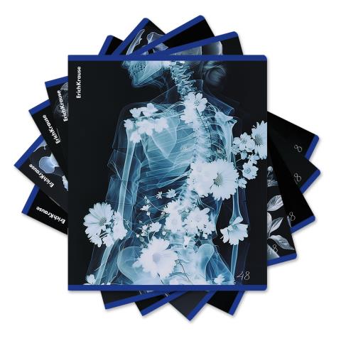 Тетрадь 48 л. (клетка) ErichKrause Flower Ray 63314