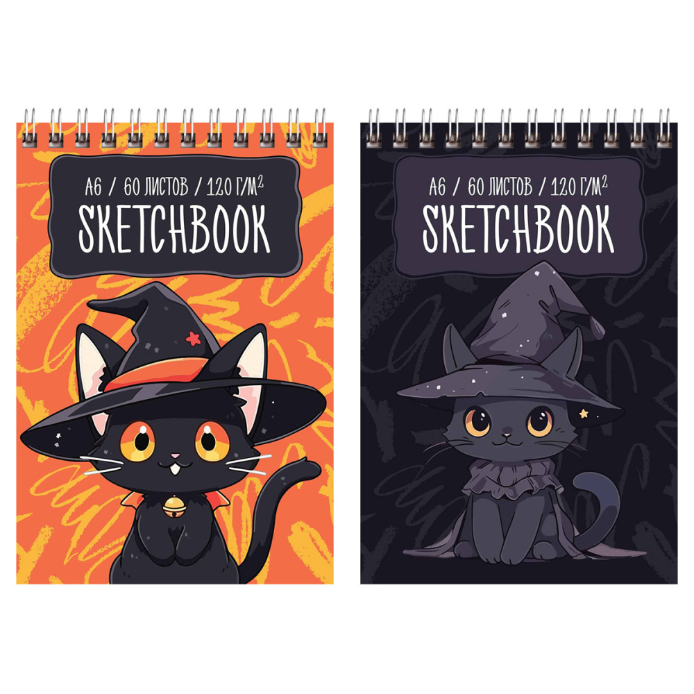 Скетчбук А6 60 л. (спираль) BG Чародей 120гр СА660гр_58072