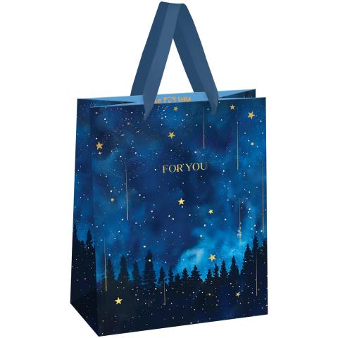 Пакет подарочный MESHU Night magic MS_61681 18х23х10см Пакет подарочный MESHU Night magic MS_61681 18х23х10см