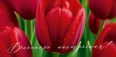 30001747 Конверт для денег Весеннего настроения