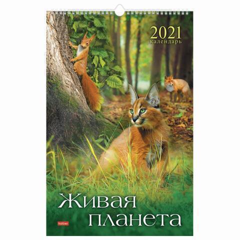 Календарь настенный перекидной 30х45 спираль Удивительная планета 12Кнп3гр_34620 2026