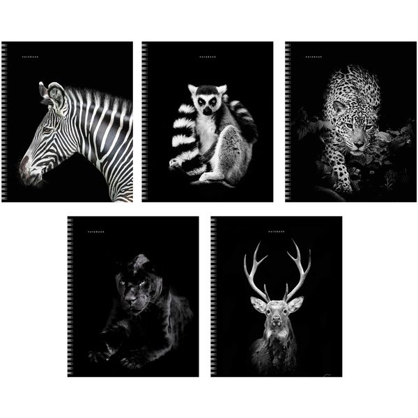 Тетрадь 96 л. (спираль) К-Э Прекрасные создания ТСФ968547