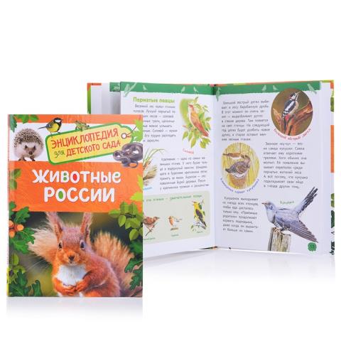 Энциклопедия для детского сада Животные России 32826