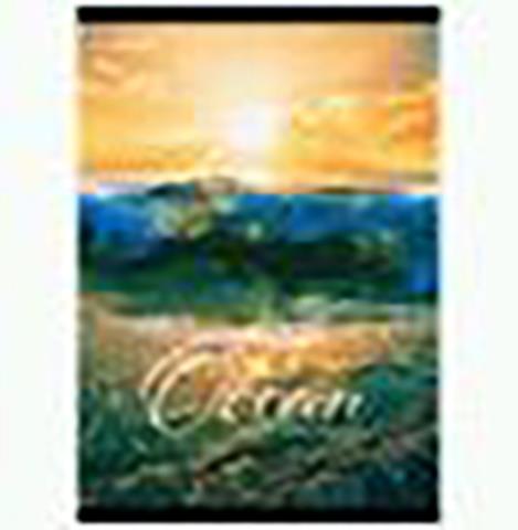 Тетрадь А4 96 л. (спираль) deVENTE 2058231 Ocean Тетрадь А4 96 л. (спираль) deVENTE 2058231 Ocean