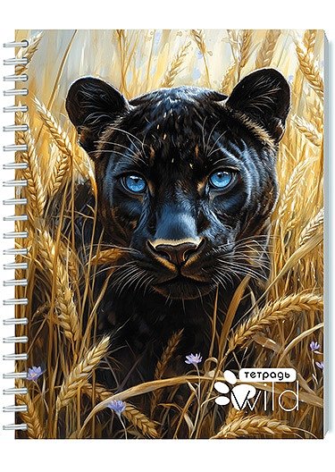 Тетрадь 48 л. (спираль) Апплика Чёрная пантера С0245-137