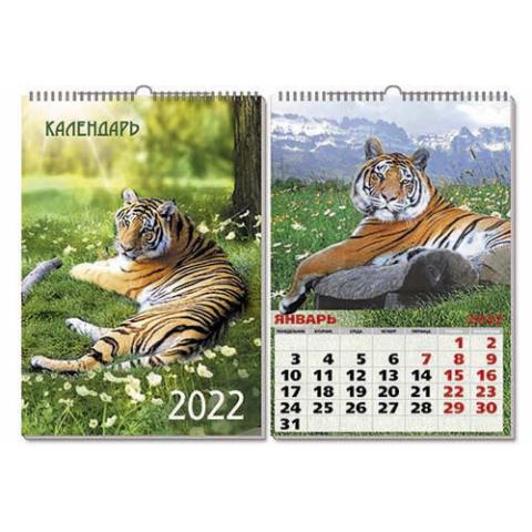 Календарь на ригеле Символ года 2026 9711