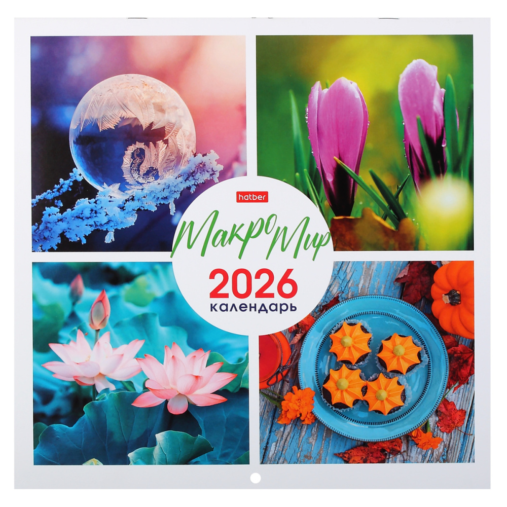 Календарь настенный перекидной 30х30 Макро Мир 6Кнп4_33716 2026